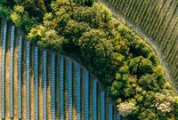 Solar Panels and Trees
