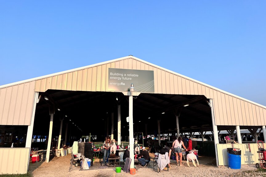 energyRe sponsors local sheep show