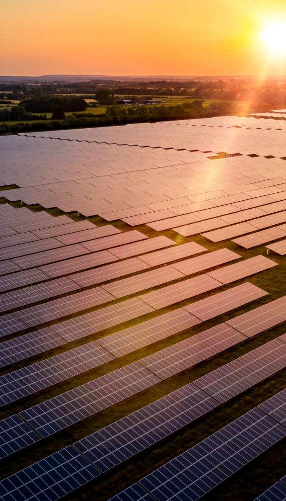 Solar Farm at Sunset