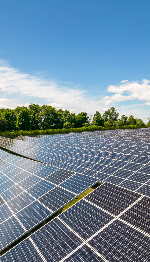 solar farm in sunlight with grass