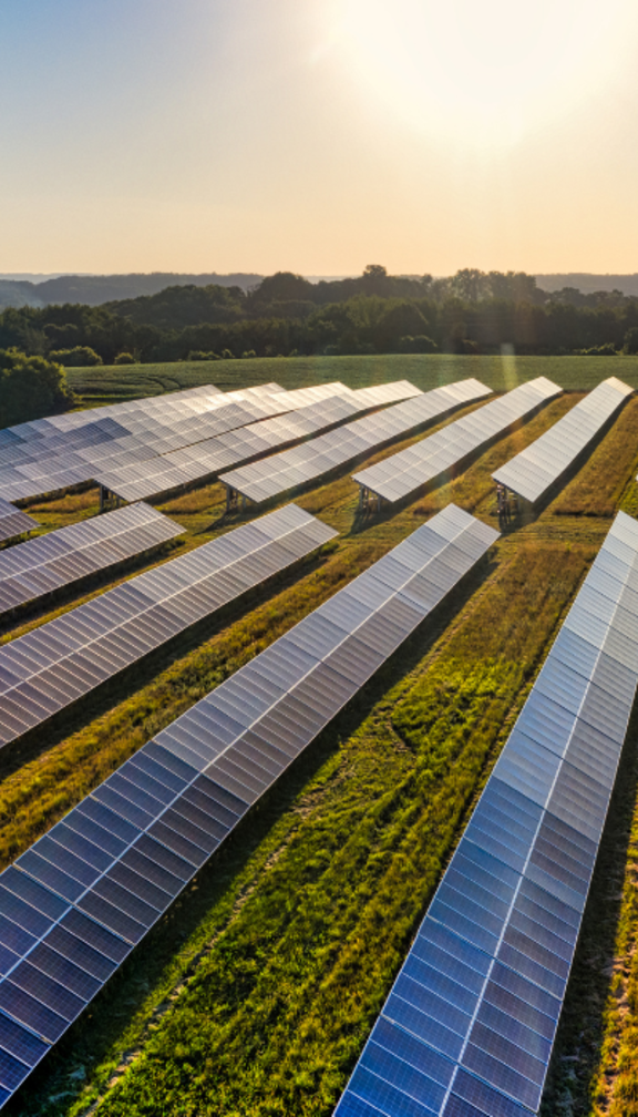 solar farm with high sun