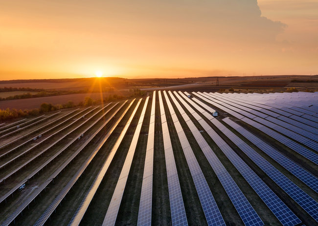 solar farm at sunset withi bushels surrounding 