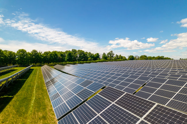 solar farm in sunlight with grass