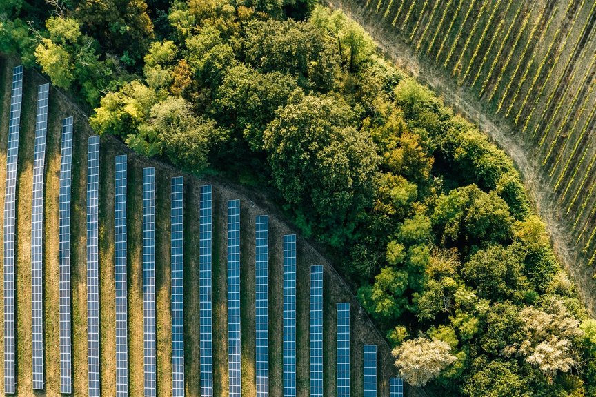 Solar Panels and Trees
